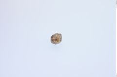 Foto von Diamant (NHMW-MIN-Aa6408)
